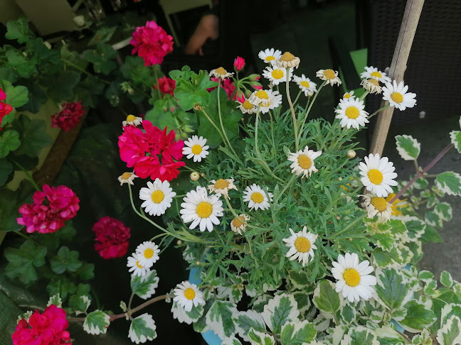 Opinii despre Kafe bar Ljevaonica în Zagreb - Gastronomija i ugostiteljstvo