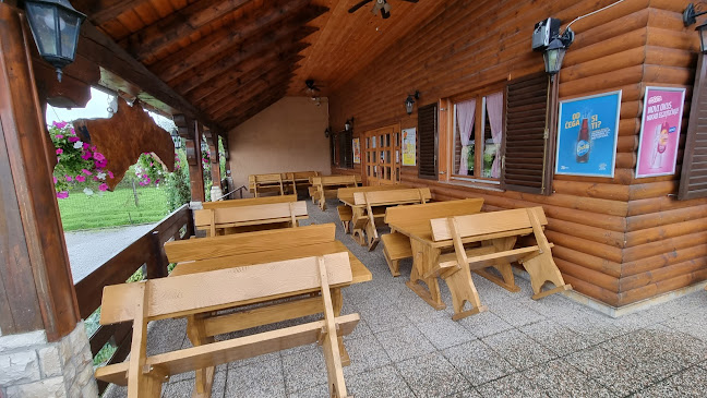 Comentarii opinii despre Restoran & pizzeria Rustique