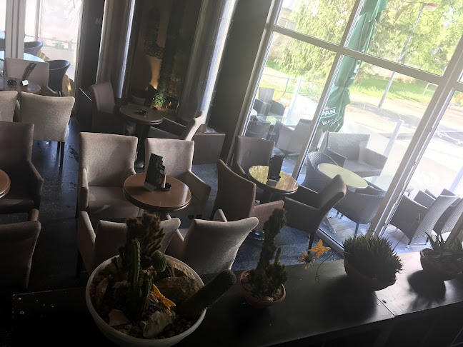 Comentarii opinii despre Caffe Bar Kaktus
