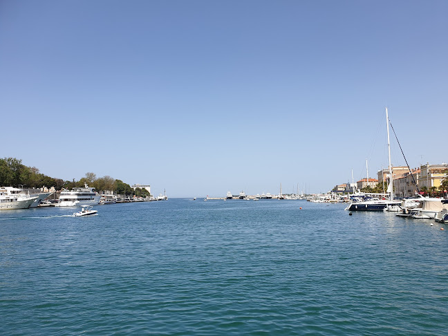 Obala kneza Branimira 10A, 23000, Zadar