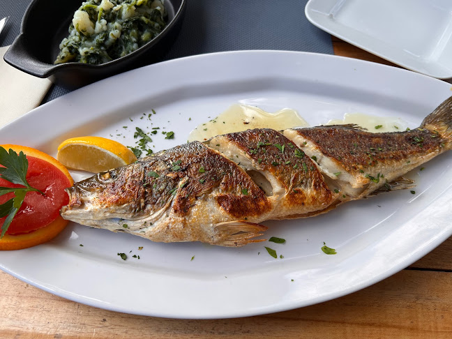 Comentarii opinii despre Il Porto