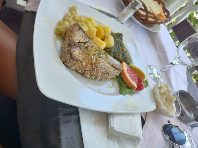 Konoba Ankora - Gastronomija i ugostiteljstvo