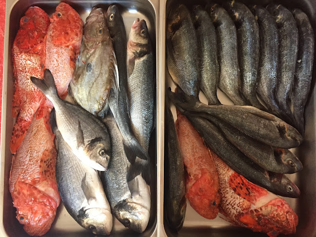 Ul. braće Ivana i Stjepana Vidulića 79, 51550, Mali Lošinj