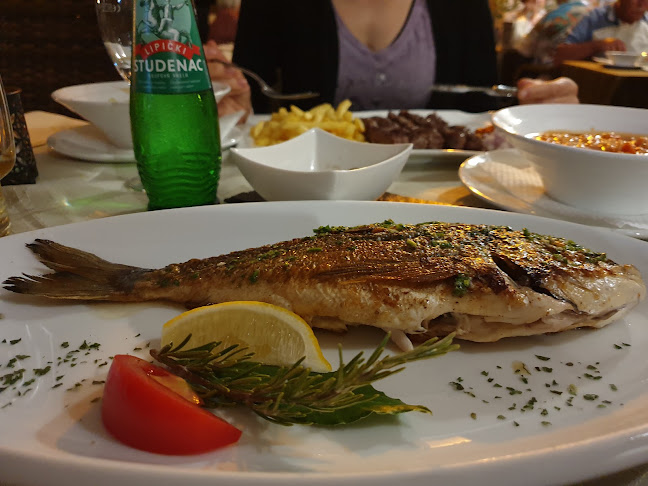 Comentarii opinii despre Konoba Toma