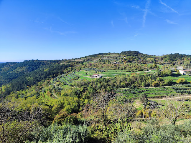 Konoba Oprtalj - Gastronomija i ugostiteljstvo