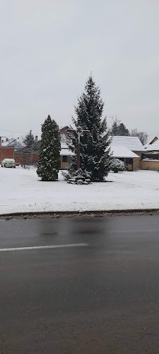 Caffe bar Speed - Petrinja