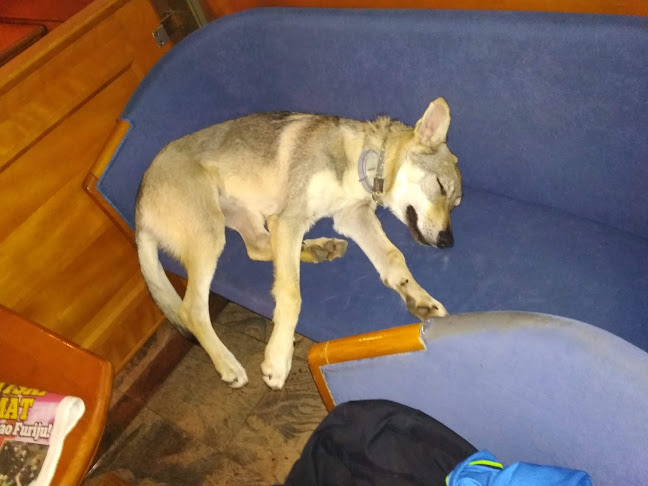 Scandal Express - Pula