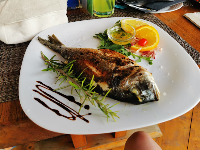 Reflektor - Murter - Murter