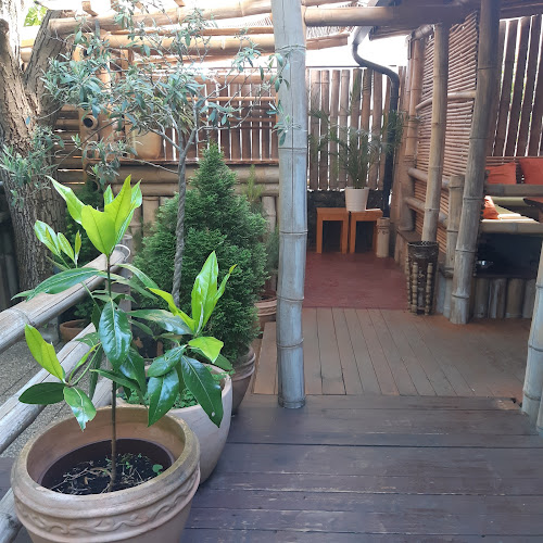 Comentarii opinii despre Savannah