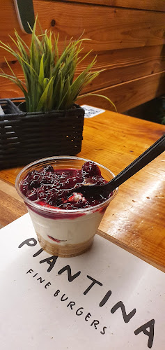 Fine fast food Piantina - Gastronomija i ugostiteljstvo