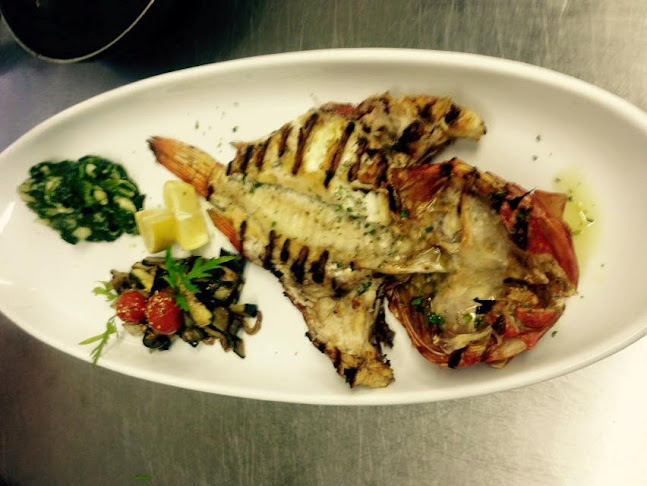 Plava Alga - Gastronomija i ugostiteljstvo