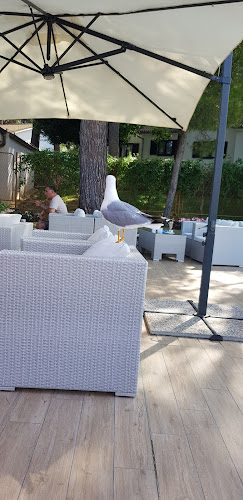 Kafić Blue Centar - Poreč