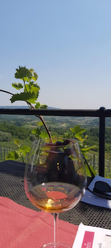 Comentarii opinii despre Bolfan Vinski Vrh