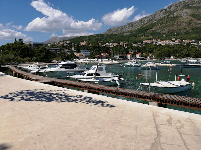 Comentarii opinii despre Taste Bar & Food