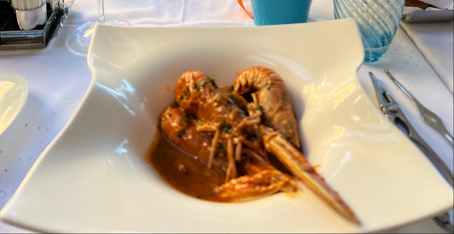 Comentarii opinii despre Plavi podrum