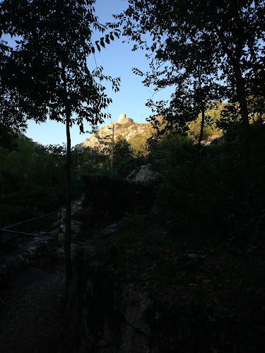 Caffe bar Quattro - Gastronomija i ugostiteljstvo