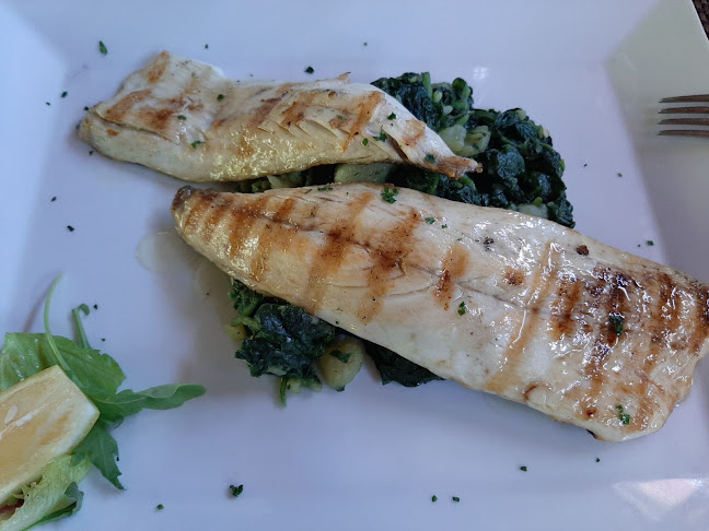 Comentarii opinii despre Antika Zaton