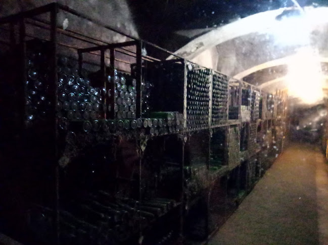 KUTJEVO d.d. Restoran Kutjevački Podrum - Kutjevo