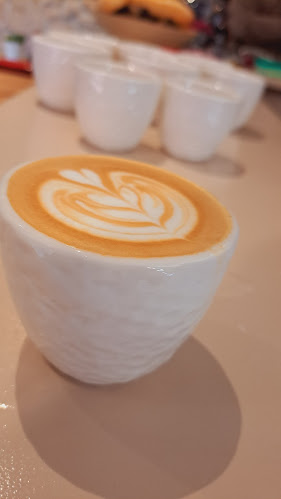 Comentarii opinii despre Trevisol