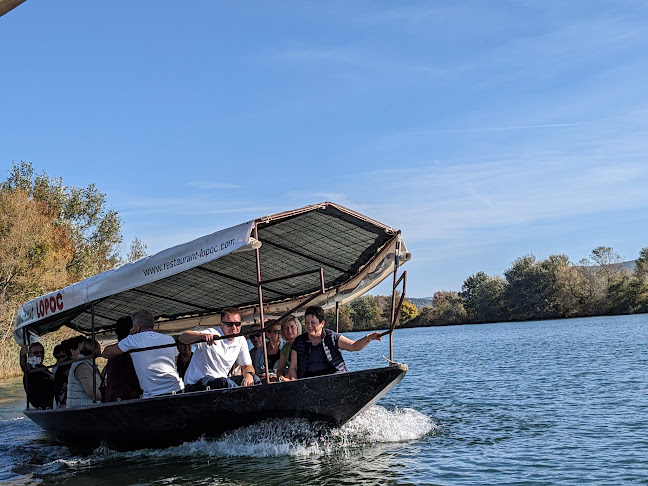 Momići 24/1, 20341, Kula Norinska