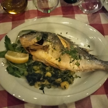 Konoba Marija - Gastronomija i ugostiteljstvo