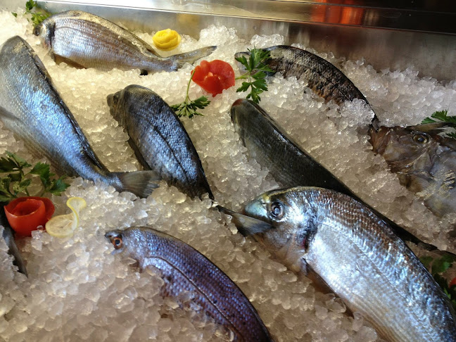 Restaurant Marina Kornati - Gastronomija i ugostiteljstvo