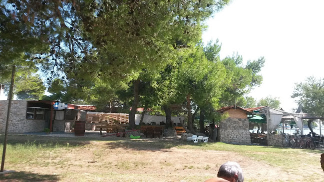 Comentarii opinii despre Vićevica