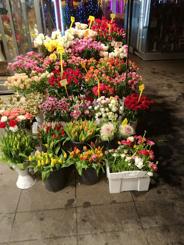 Trnjanska cesta 37, Crvenog Križa 1 - dostaviti pismo ovdje, 10000, Zagreb