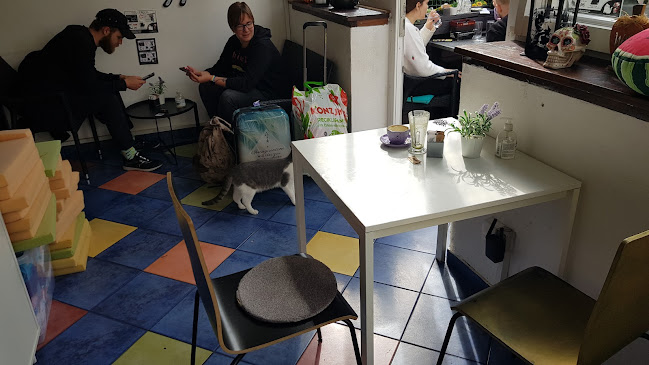 Cat Caffe Zagreb - Zagreb