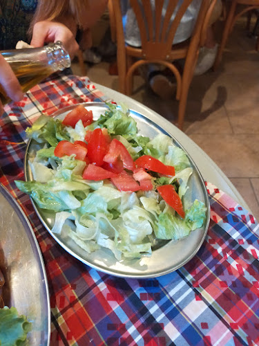 Comentarii opinii despre Zlatna ribica