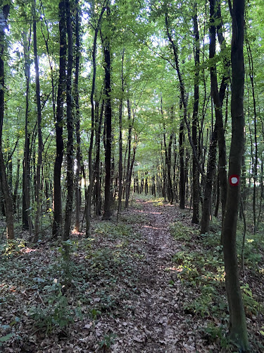 Rudarska 8, 48000, Draganovec