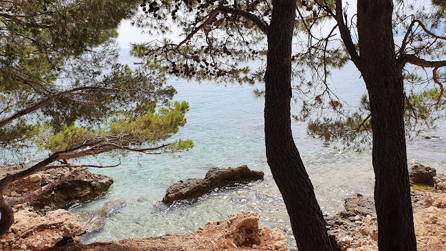 Makarano Bar - Gastronomija i ugostiteljstvo