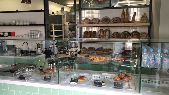 Comentarii opinii despre Korica