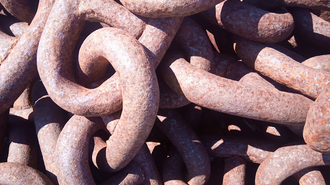 Comentarii opinii despre Bašta Šore