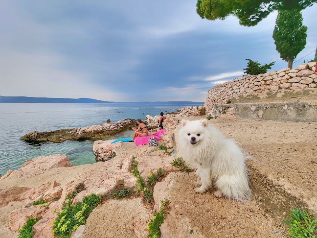 Comentarii opinii despre Air Eno Resort