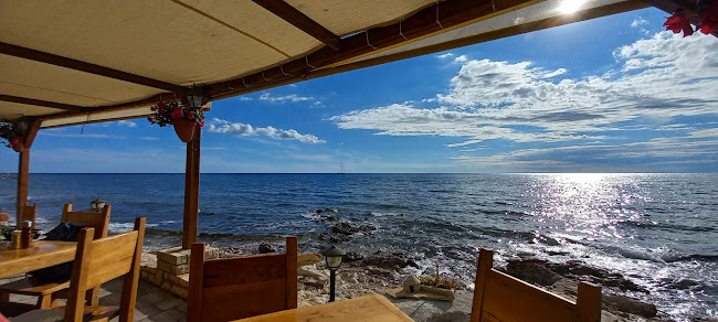 Comentarii opinii despre Blue bar garden