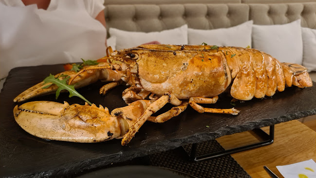 Bistro-Bar - Gastronomija i ugostiteljstvo