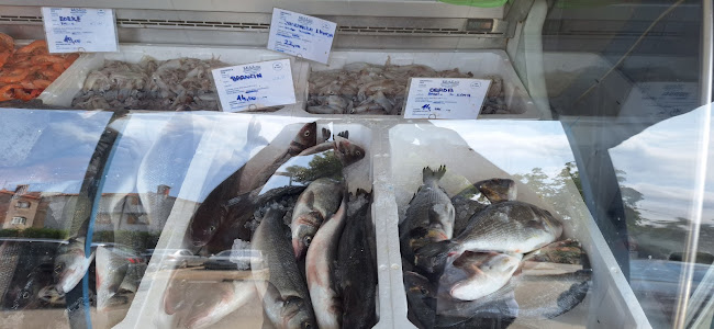 Ul. Brajde bb, 52465, Tar