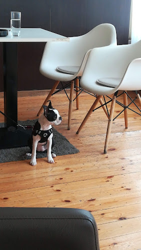 Comentarii opinii despre Frankie bar