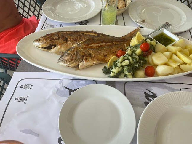 Beach Bar & Restaurant Providenca - Gastronomija i ugostiteljstvo