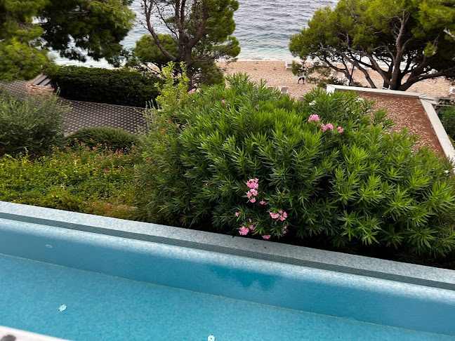 Igrane 320, 21329, Igrane