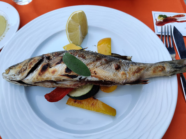 Ul. Vatroslava Lisinskog 29a, 20000, Dubrovnik