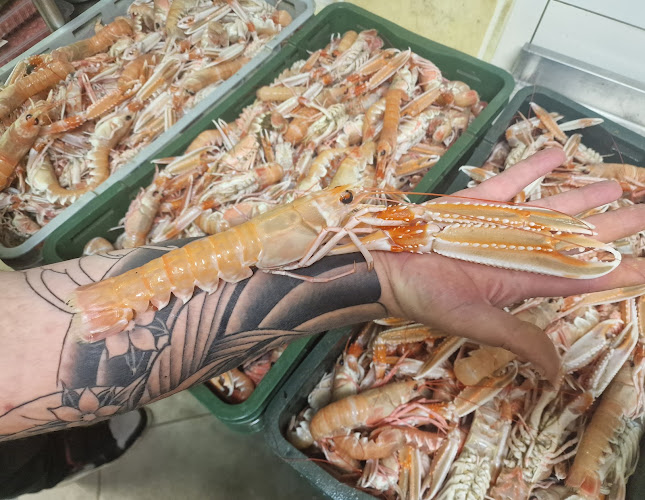 Opinii despre Restoran Santa Andrea în Savudrija - Gastronomija i ugostiteljstvo