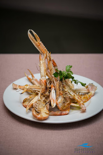 Restoran Shark - Gastronomija i ugostiteljstvo