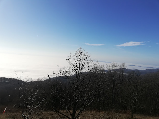 Prodin Dol 72, 10453, Gorica Svetojanska