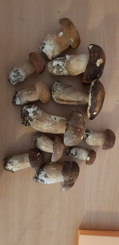 Comentarii opinii despre Caffe Bar DU-NA