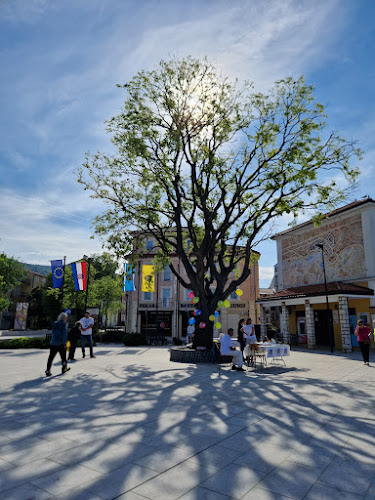 Comentarii opinii despre Kavana Anka