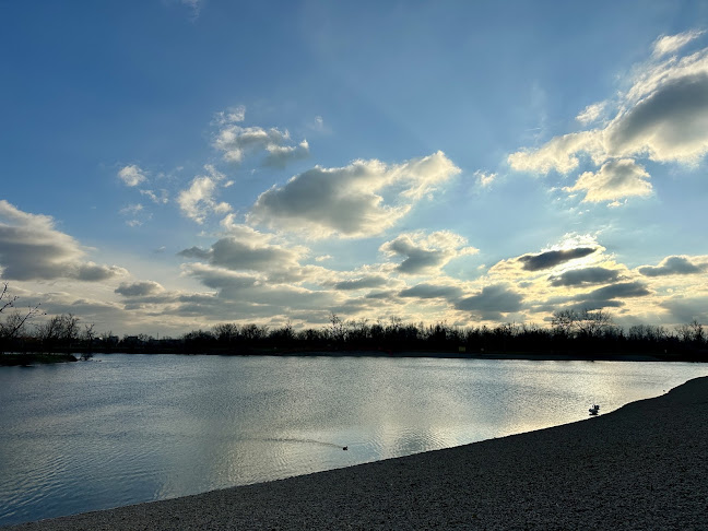 Comentarii opinii despre Beach champ caffe