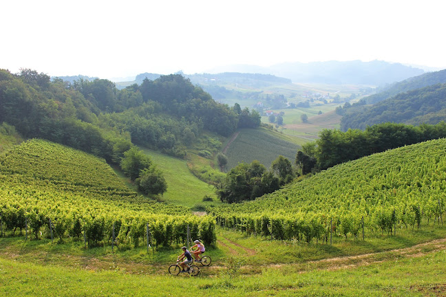 Restoran, vinarija i pansion Vuglec Breg - Gastronomija i ugostiteljstvo