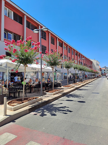 Caffe bar Circolo - Gastronomija i ugostiteljstvo